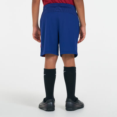 Kids' Dri-FIT F.C. Barcelona Academy Pro Shorts