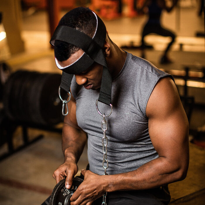 Head Harness image number 2