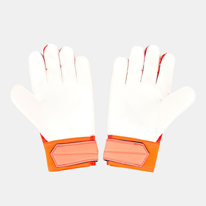 Men's Predator Edge Training Gloves image number 1