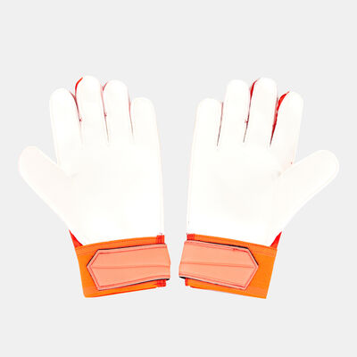 Men's Predator Edge Training Gloves Men's Predator Edge Training Gloves