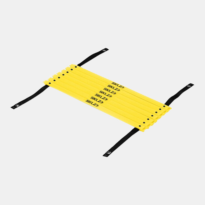 Quick Pro Training Ladder Quick Pro Training Ladder image number 0