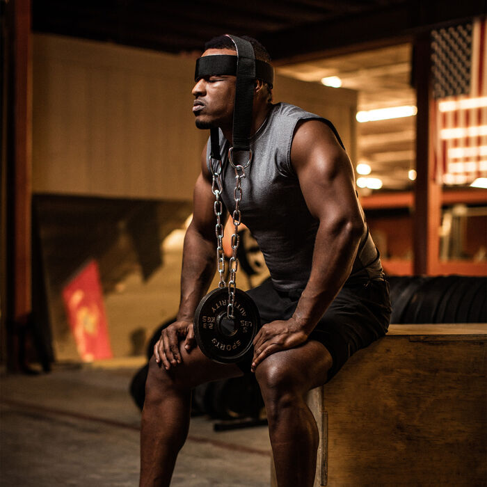 Head Harness image number 3