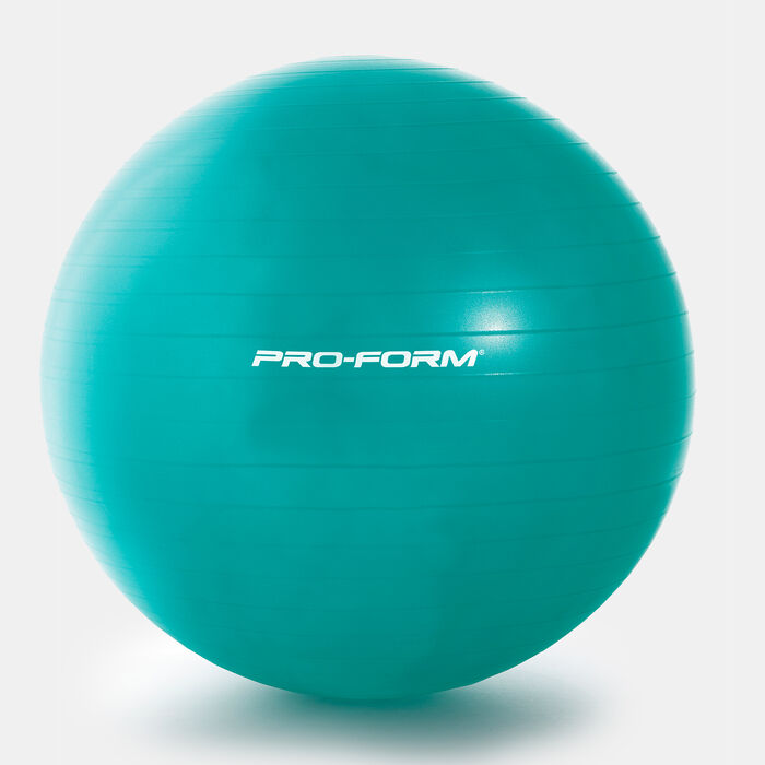 55cm Stability Ball image number 0